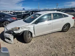 5NPE24AF8HH557621 2017 HYUNDAI SONATA