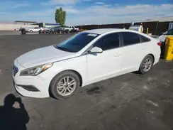 5NPE24AF8HH560339 2017 HYUNDAI SONATA