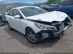 5NPE24AF8HH560390 2017 HYUNDAI SONATA