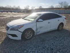 5NPE24AF8HH561099 2017 HYUNDAI SONATA