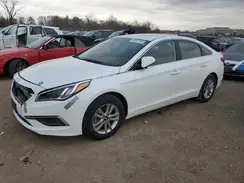 5NPE24AF8HH562057 2017 HYUNDAI SONATA