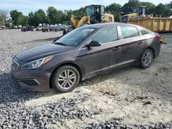 5NPE24AF8HH570532 2017 HYUNDAI SONATA