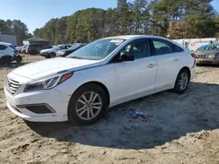 5NPE24AF8HH570658 2017 HYUNDAI SONATA