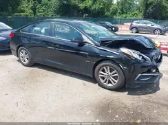 5NPE24AF8HH578808 2017 HYUNDAI SONATA