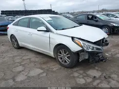 5NPE24AF8HH584981 2017 HYUNDAI SONATA