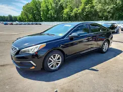 5NPE24AF8HH587105 2017 HYUNDAI SONATA