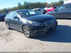 5NPE24AF8HH590148 2017 HYUNDAI SONATA