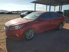 5NPE24AF8HH590327 2017 HYUNDAI SONATA