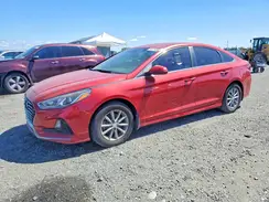 5NPE24AF8JH643596 2018 HYUNDAI SONATA