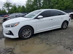 5NPE24AF8JH695391 2018 HYUNDAI SONATA