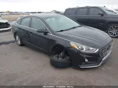 5NPE24AF8JH699022 2018 HYUNDAI SONATA