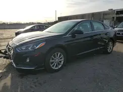 5NPE24AF8KH731016 2019 HYUNDAI SONATA