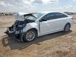 5NPE24AF8KH731338 2019 HYUNDAI SONATA