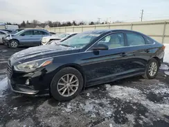 5NPE24AF8KH732702 2019 HYUNDAI SONATA