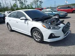 5NPE24AF8KH736197 2019 HYUNDAI SONATA