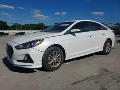 5NPE24AF8KH740184 2019 HYUNDAI SONATA