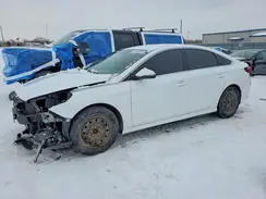 5NPE24AF8KH742386 2019 HYUNDAI SONATA