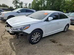 5NPE24AF8KH743215 2019 HYUNDAI SONATA