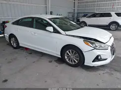 5NPE24AF8KH743554 2019 HYUNDAI SONATA