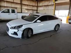 5NPE24AF8KH743649 2019 HYUNDAI SONATA