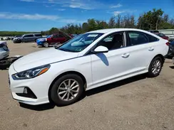 5NPE24AF8KH743683 2019 HYUNDAI SONATA