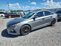 5NPE24AF8KH743960 2019 HYUNDAI SONATA