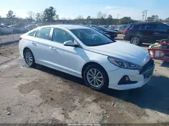 5NPE24AF8KH744607 2019 HYUNDAI SONATA