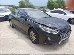5NPE24AF8KH746146 2019 HYUNDAI SONATA