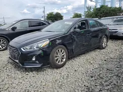 5NPE24AF8KH746342 2019 HYUNDAI SONATA