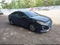5NPE24AF8KH750259 2019 HYUNDAI SONATA