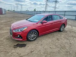 5NPE24AF8KH753498 2019 HYUNDAI SONATA