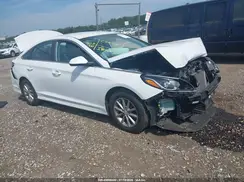 5NPE24AF8KH755994 2019 HYUNDAI SONATA