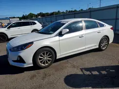 5NPE24AF8KH757051 2019 HYUNDAI SONATA