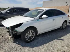 5NPE24AF8KH757664 2019 HYUNDAI SONATA