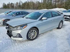 5NPE24AF8KH765120 2019 HYUNDAI SONATA
