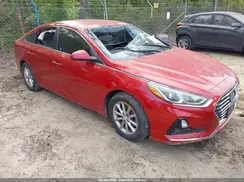 5NPE24AF8KH765439 2019 HYUNDAI SONATA