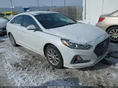 5NPE24AF8KH767532 2019 HYUNDAI SONATA