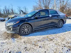 5NPE24AF8KH773945 2019 HYUNDAI SONATA