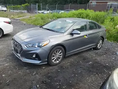 5NPE24AF8KH774318 2019 HYUNDAI SONATA