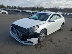 5NPE24AF8KH775811 2019 HYUNDAI SONATA