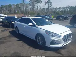 5NPE24AF8KH776067 2019 HYUNDAI SONATA