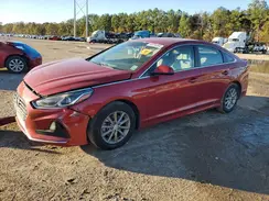 5NPE24AF8KH778773 2019 HYUNDAI SONATA