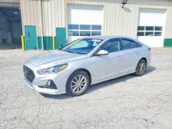 5NPE24AF8KH779843 2019 HYUNDAI SONATA