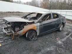 5NPE24AF8KH781334 2019 HYUNDAI SONATA