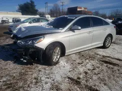 5NPE24AF8KH781950 2019 HYUNDAI SONATA
