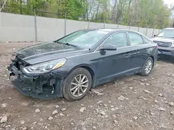 5NPE24AF8KH783410 2019 HYUNDAI SONATA