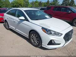 5NPE24AF8KH783455 2019 HYUNDAI SONATA