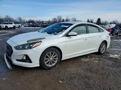 5NPE24AF8KH784282 2019 HYUNDAI SONATA