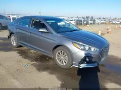5NPE24AF8KH790082 2019 HYUNDAI SONATA