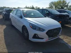 5NPE24AF8KH791295 2019 HYUNDAI SONATA